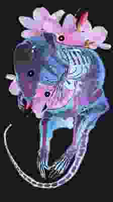 A low-quality export of a digital painting of a diaphonized rat with pink oleander flowers in the background.